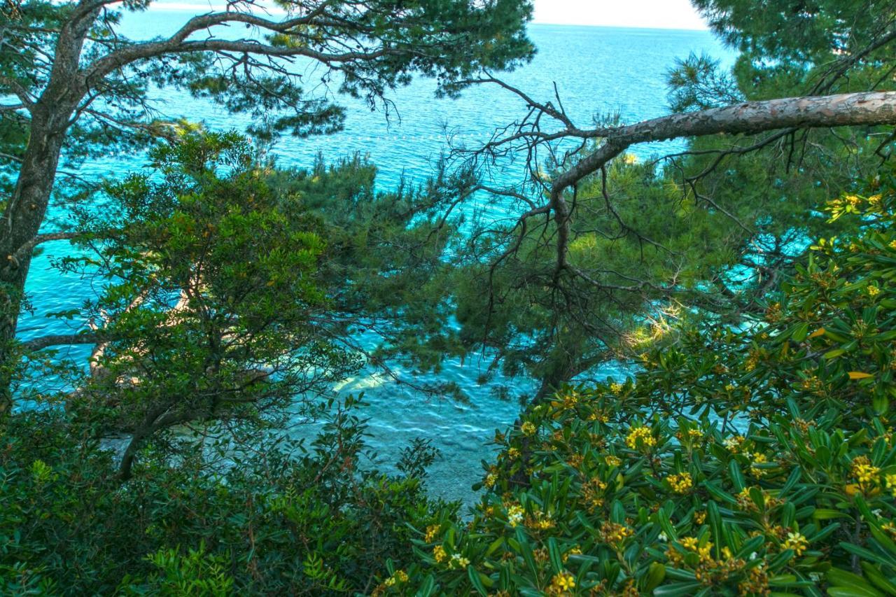 Apartments By The Sea Brela, Makarska - 16950 Exterior foto